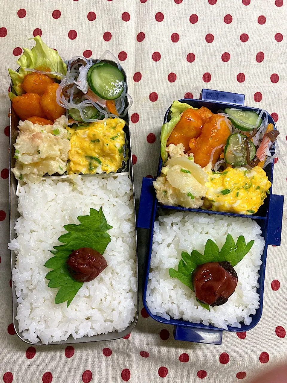 10月22日　久々大雨弁当🍱|sakuramochiさん