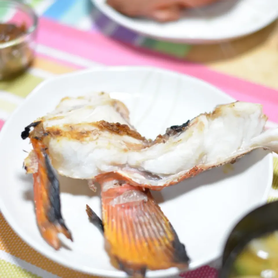 スジハタのカマ焼き🐟✨|さわ太郎さん