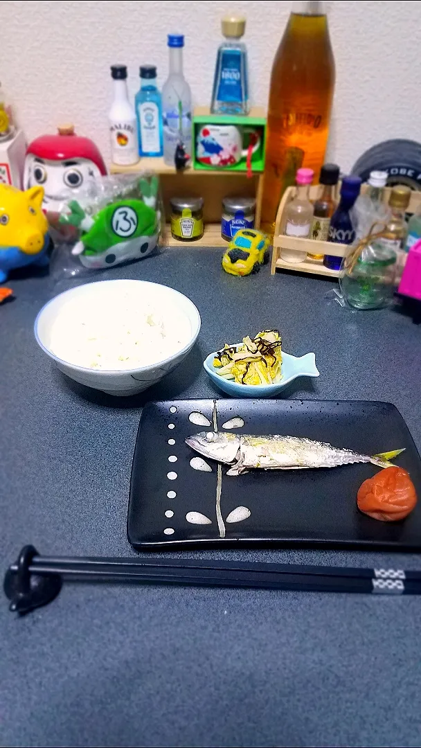 アジングで釣れた鯖を🤫|masaki .fさん