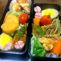 Snapdishの料理写真:お弁当ー！！|さとうさん