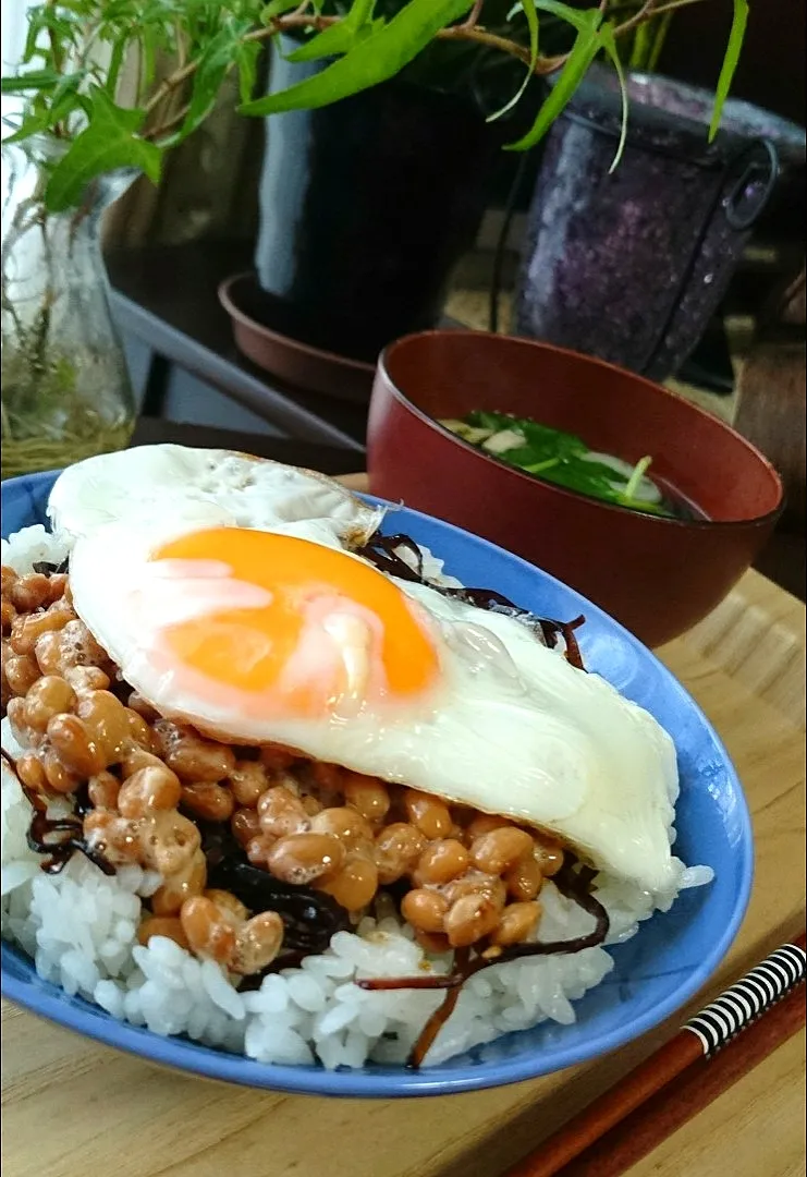 納豆目玉焼き丼|まりおさん