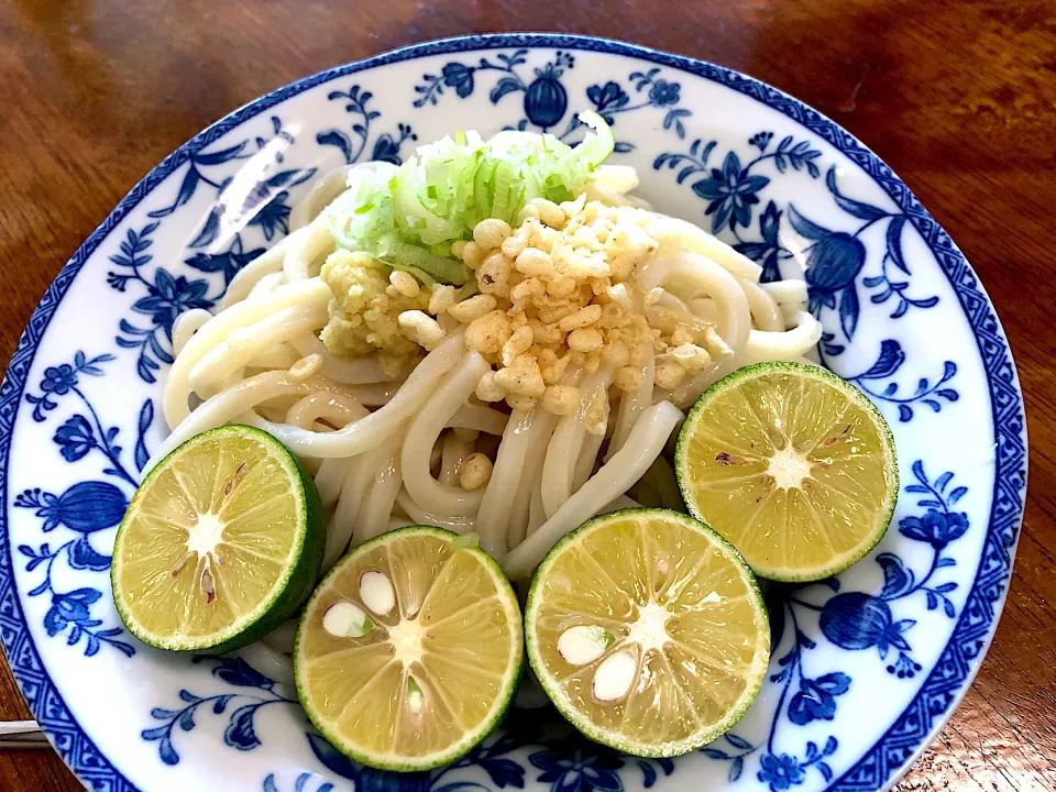 すだちうどん|さんだーさん