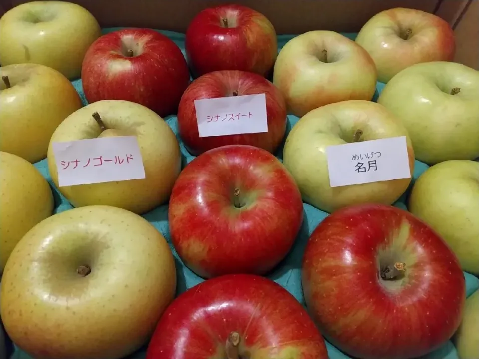 ☆姉からの贈り物☆　ナカムラフルーツ農園　シナノゴールド　シナノスィート　名月|hamamaさん