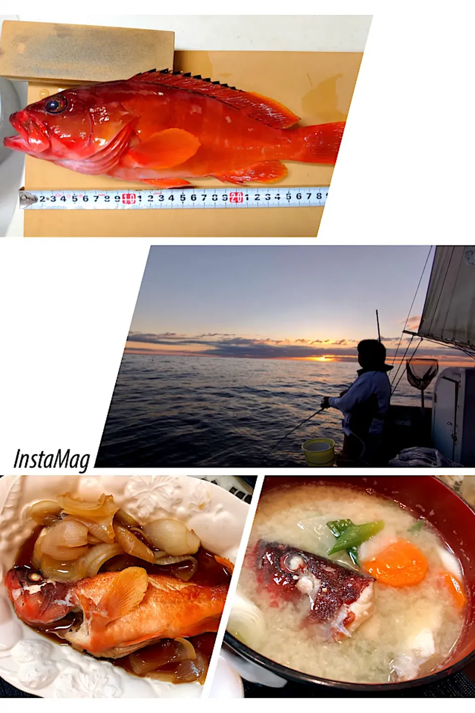 アカハタ🐟😋味噌汁最高❣️|アライさんさん