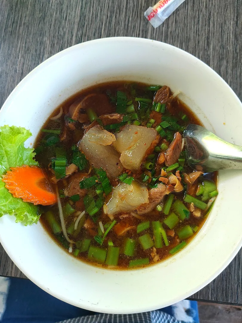 Stewed Beef with Tendon.|katang23さん