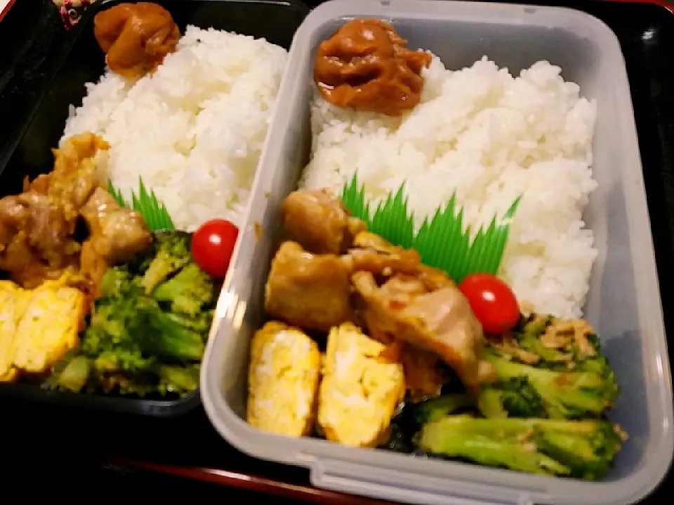 夫弁当、息子弁当|みどりさん