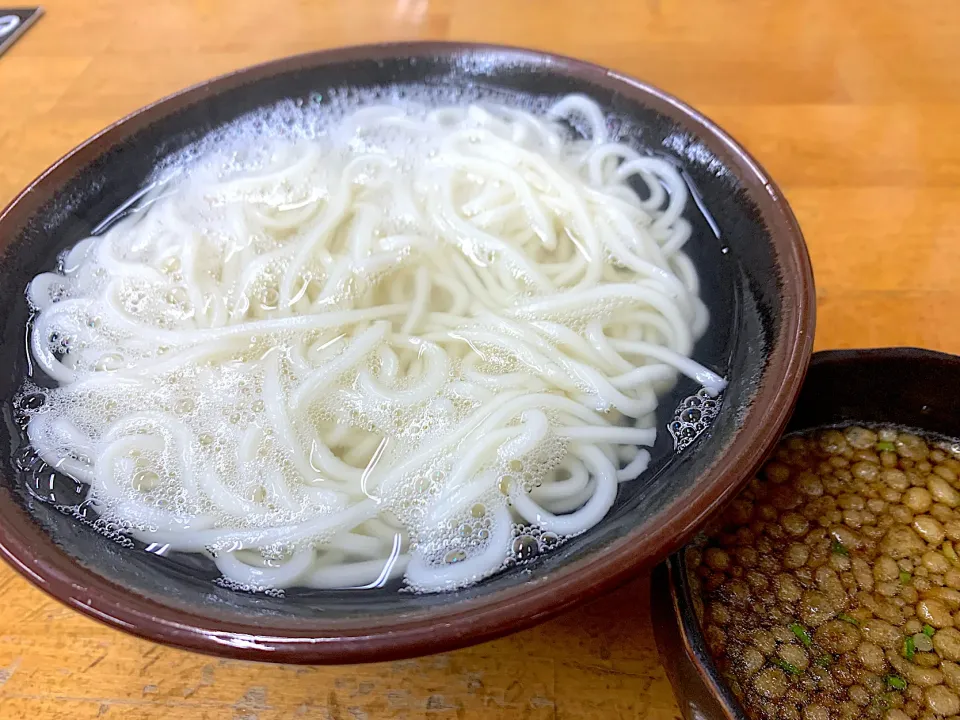 釜揚げうどん|ぶりっとさん