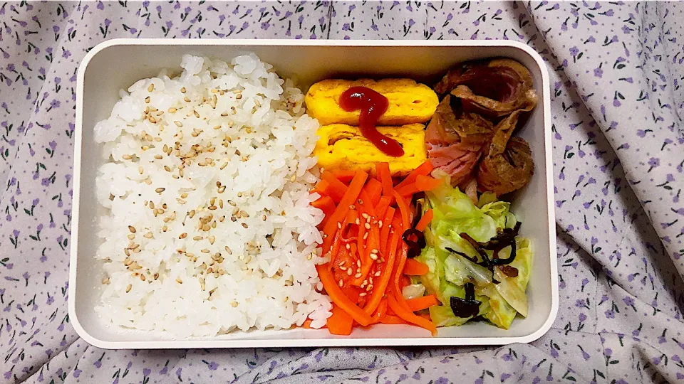 Snapdishの料理写真:初めてのお弁当|もけさん