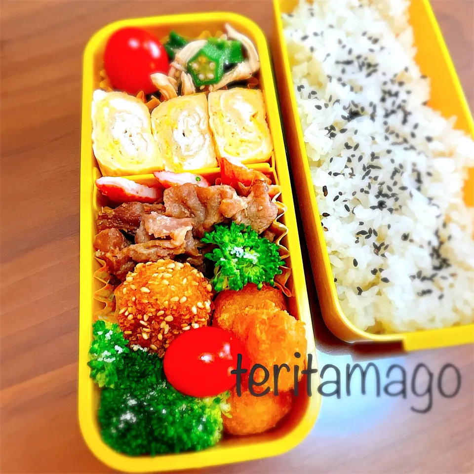 お弁当|teritamagoさん