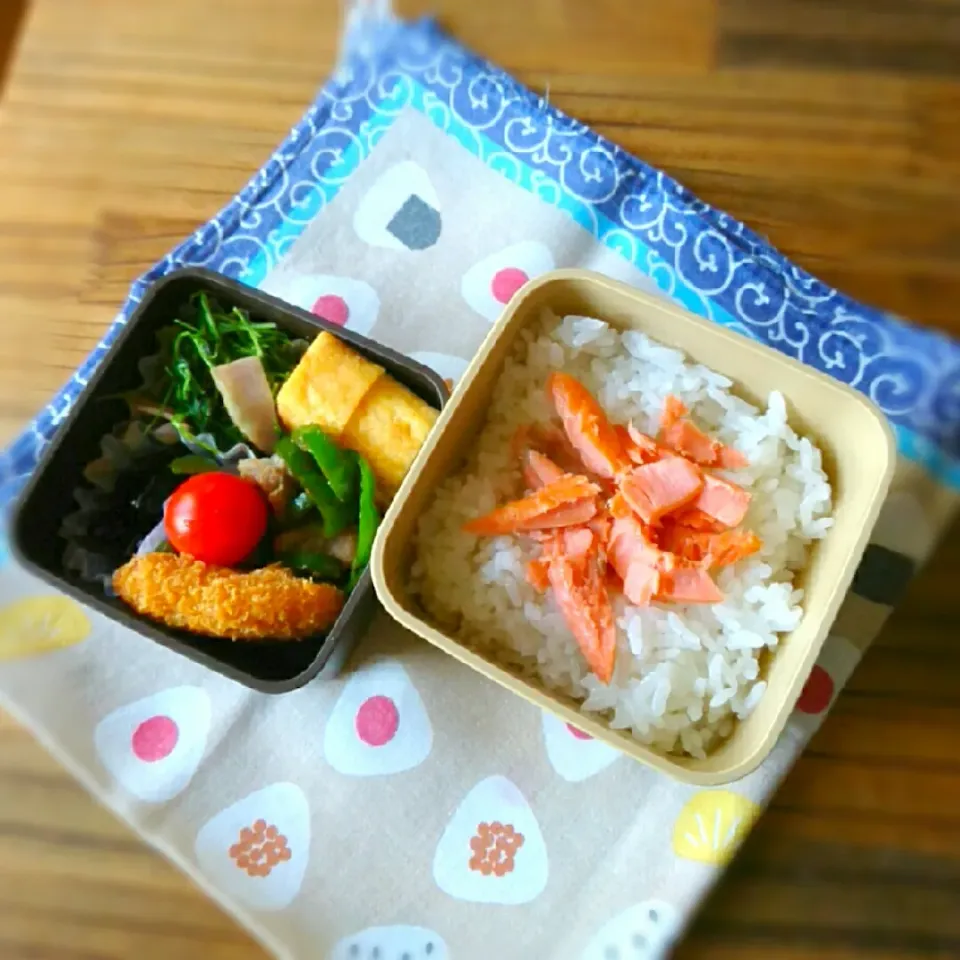 今日のお弁当 10/27|ふ〜たん**さん