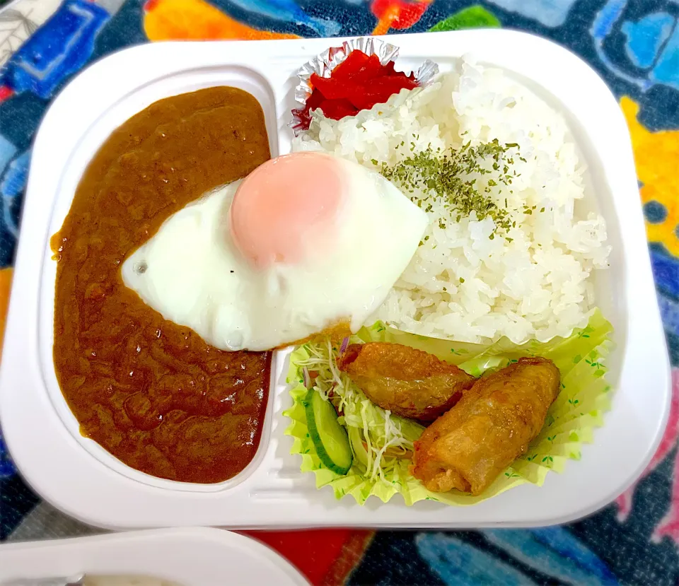 鶏皮餃子とカレー|Keiko.Kanzakiさん