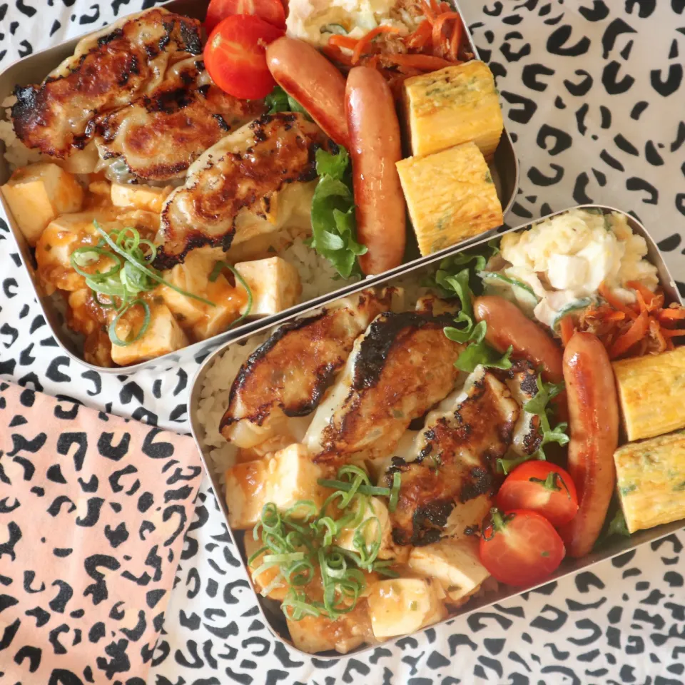 中学生男子年子弁当🍱餃子と麻婆豆腐で中華弁当🥟|なかじー。さん