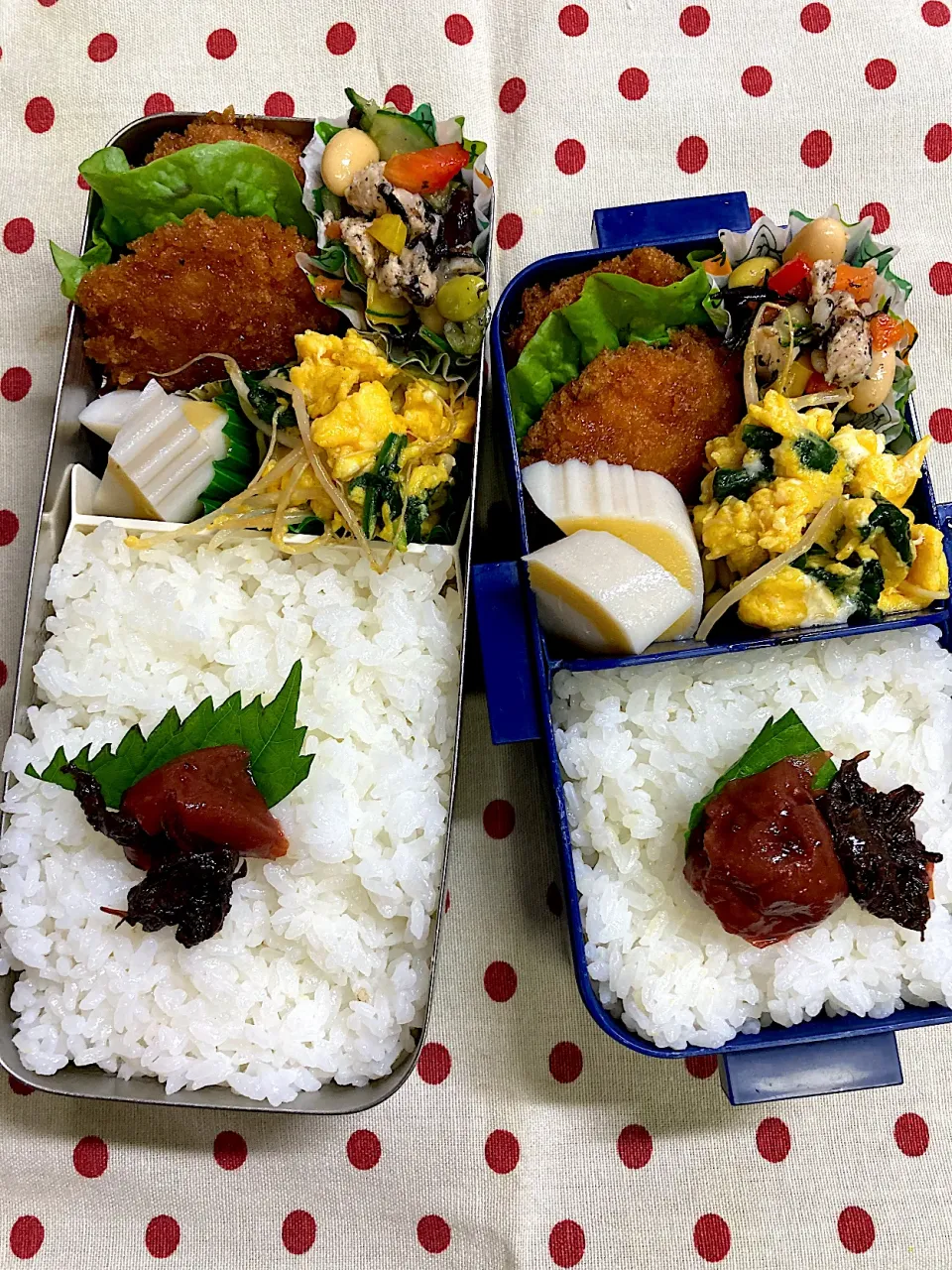 Snapdishの料理写真:10月27日　久々弁当🍱|sakuramochiさん