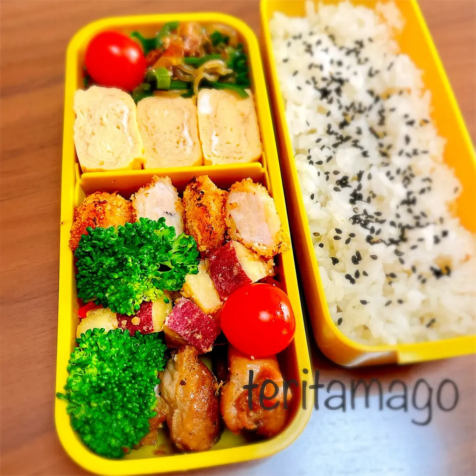 お弁当|teritamagoさん