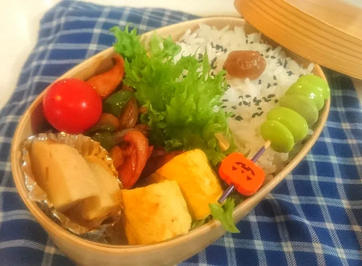 10/29 ☀️ お弁当🍱|びせんさん