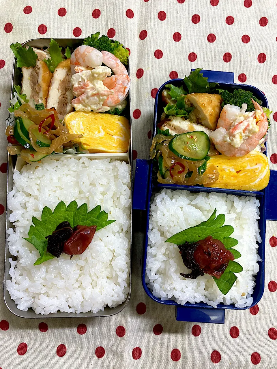 10月29日　今日も秋晴れ弁当🍱|sakuramochiさん