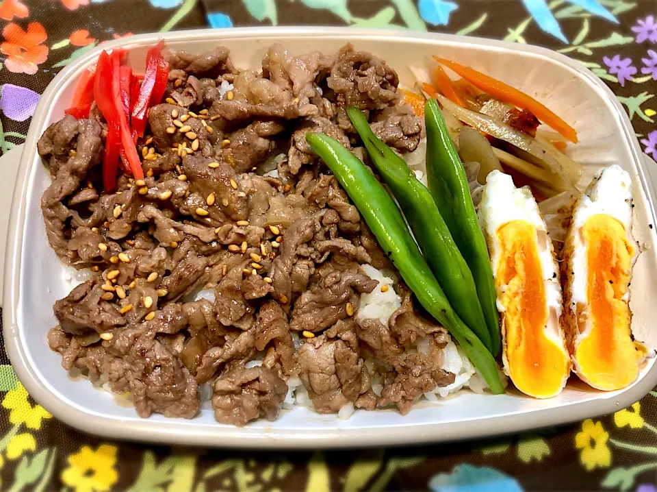 サラ弁　　　　　　　　　　　　　　　　　牛薄切り肉の甘辛煮　キンピラゴボウ　目玉焼き　インゲン豆ソテー|じゅんさんさん