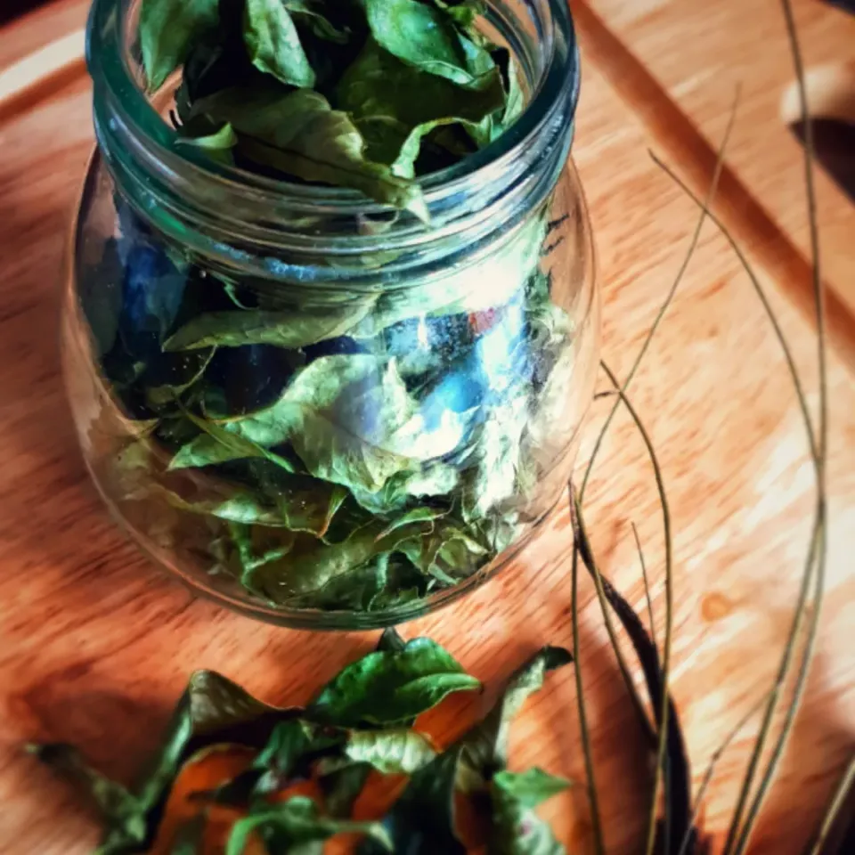 Dried Curry leaves|Tushinさん