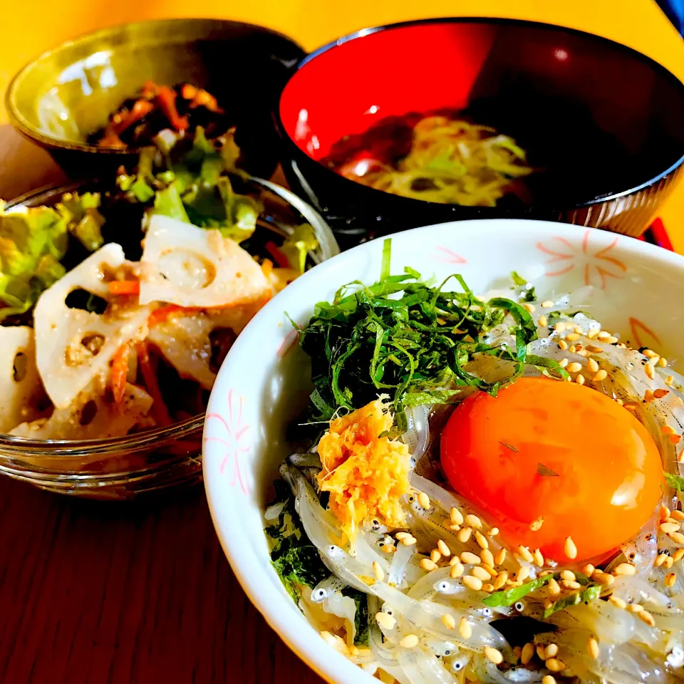 ＊朝獲れ生しらす丼 定食|つなもんさん