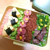 お弁当|N. akikoさん