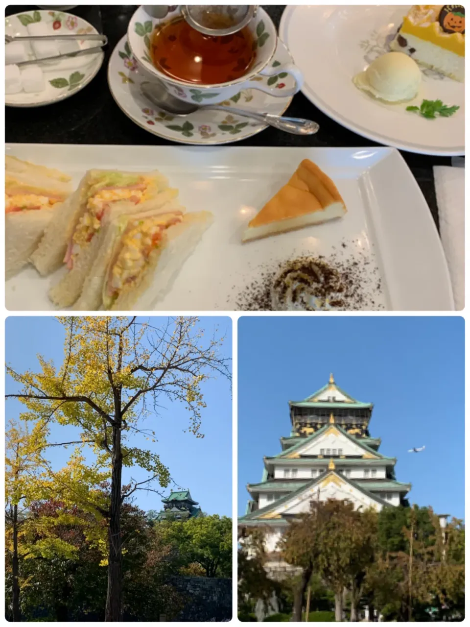 大阪城と飛行機✈️とTea  time✨✨|tamemitiさん