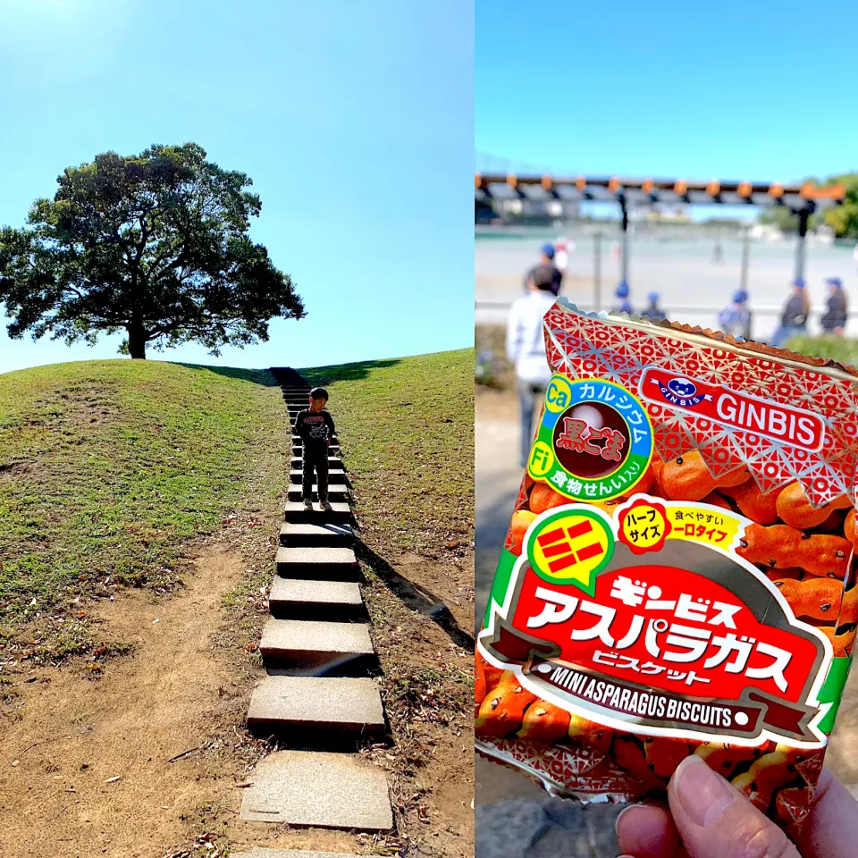 ピクニックのおやつはギンビスのアスパラ|シュトママさん