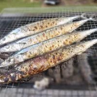 バーベキューでサンマ焼きました😊