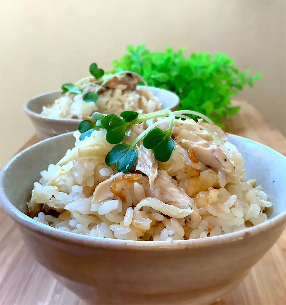 釣り魚🐟
自家製なまり節de炊き込みご飯|9421beruさん