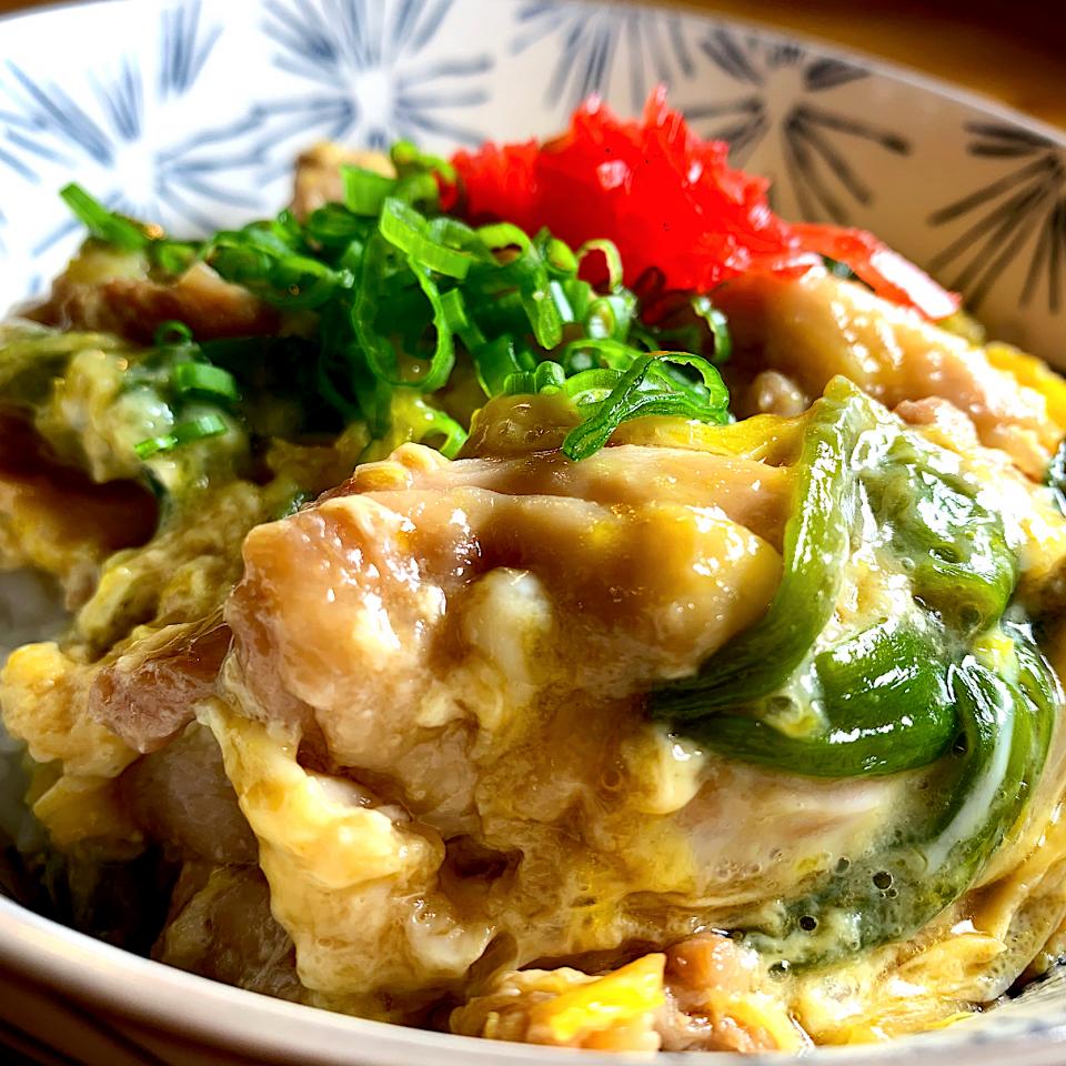 Chicken & Egg Rice Bowl (ふわとろ親子丼)