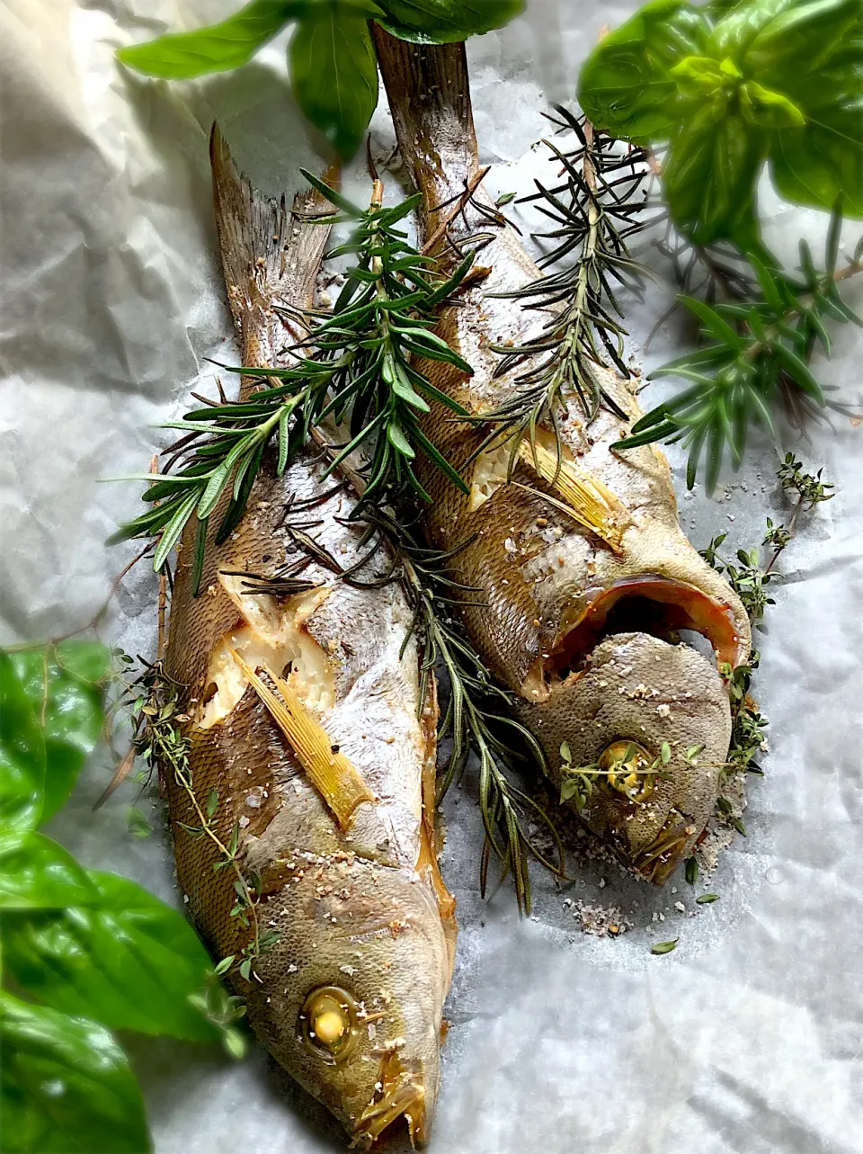 釣り魚🐟
イサキのオーブン焼き(ハーブ焼き)|9421beruさん