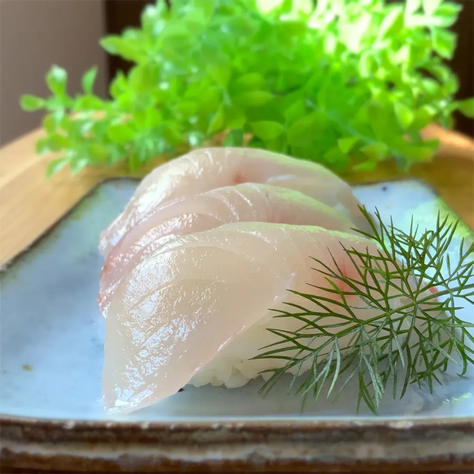 釣り魚🐟
シマアジの握り寿司🍣|9421beruさん