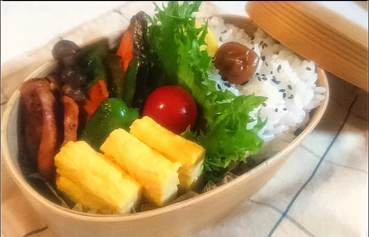 11/4 ☀️  お弁当🍱|びせんさん