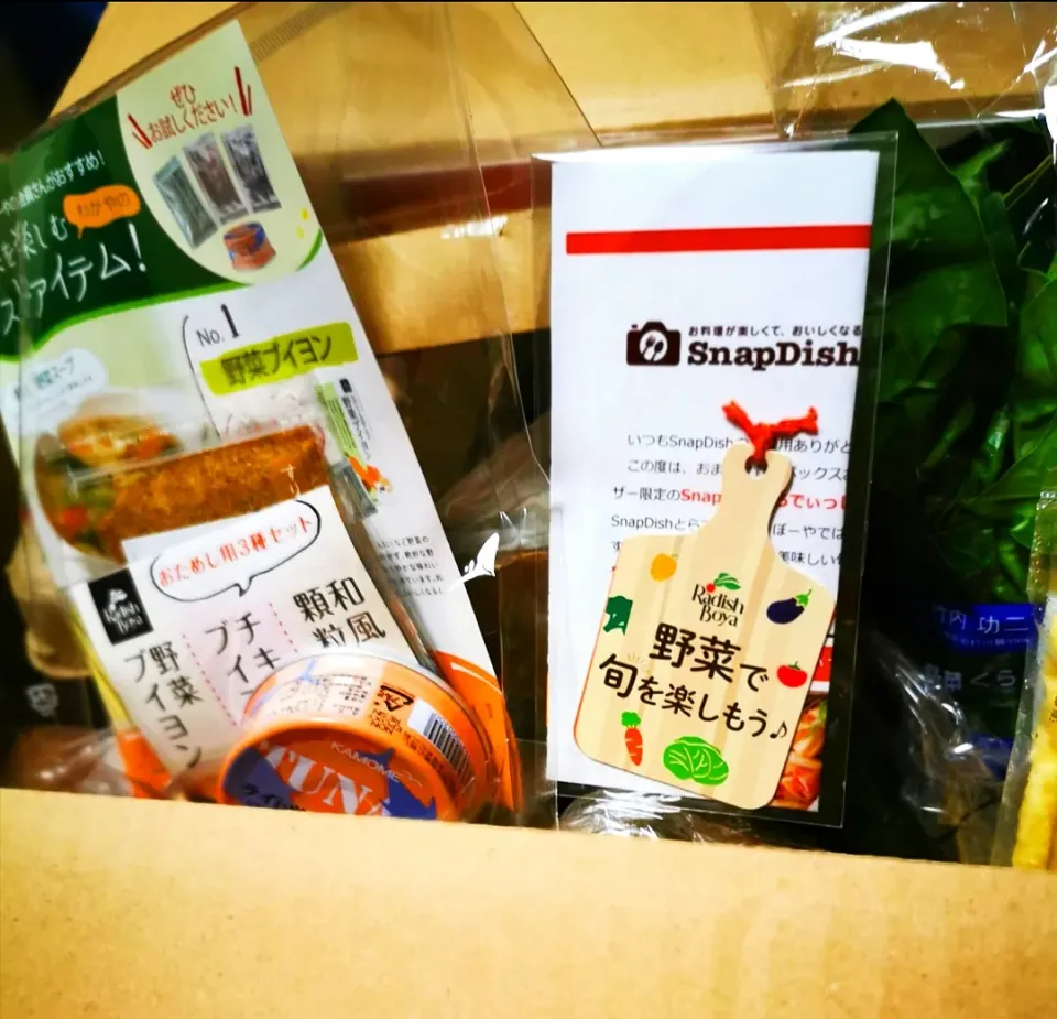 らでぃっしゅぼーやから野菜届きました( ˘ ³˘)♥|ペンギンさん