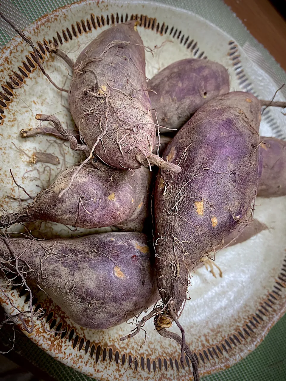 なかしましほさんの、低温オーブン焼き芋をリピート🍠祖父のお芋で🍁|1614さん