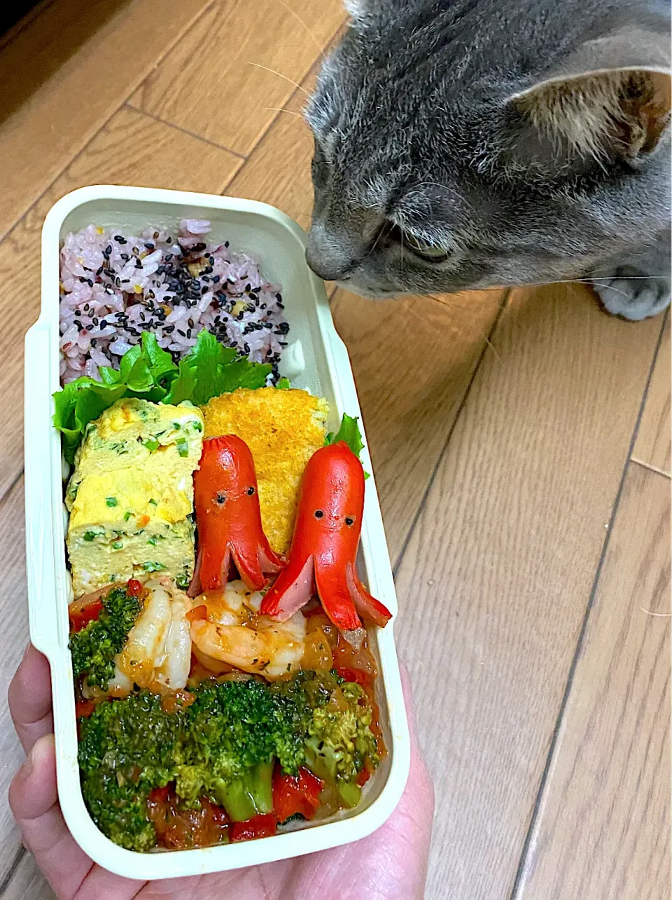 海老とブロッコリー🥦🦐弁当|cafe3733さん