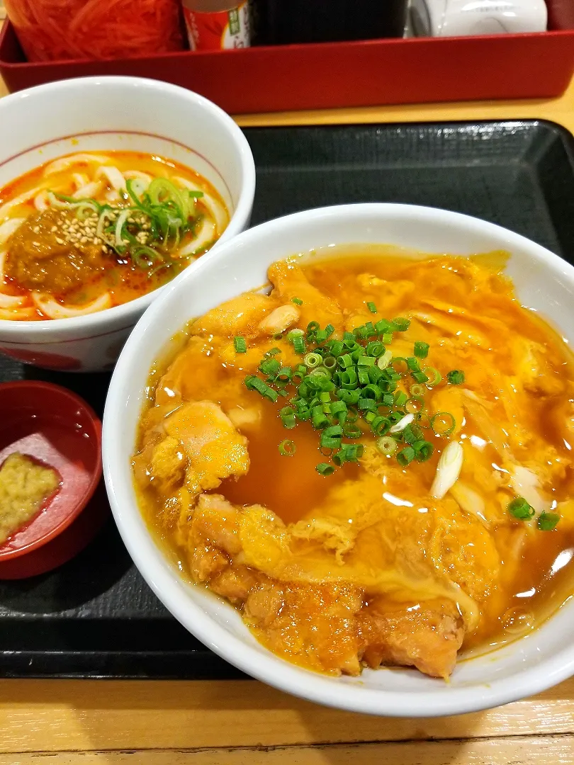 黄金の親子丼とカレー担々うどん|nobさん