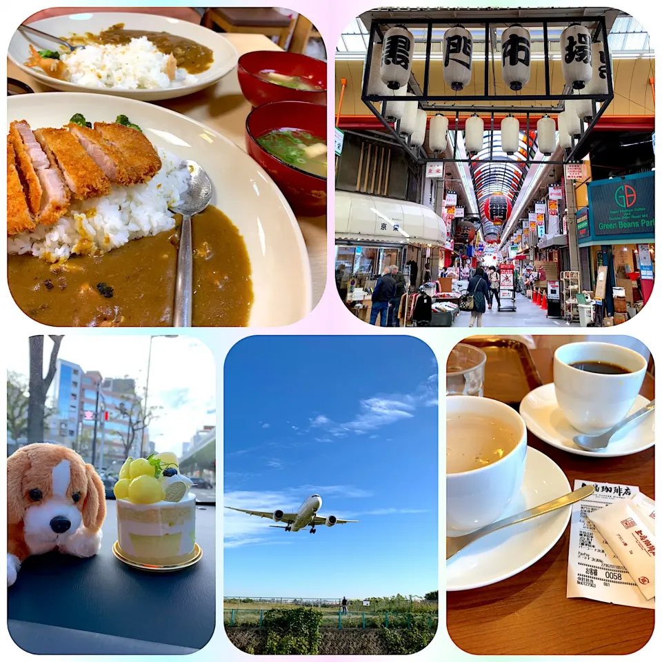 カレーとケーキと飛行機な一日|ビーグルさん