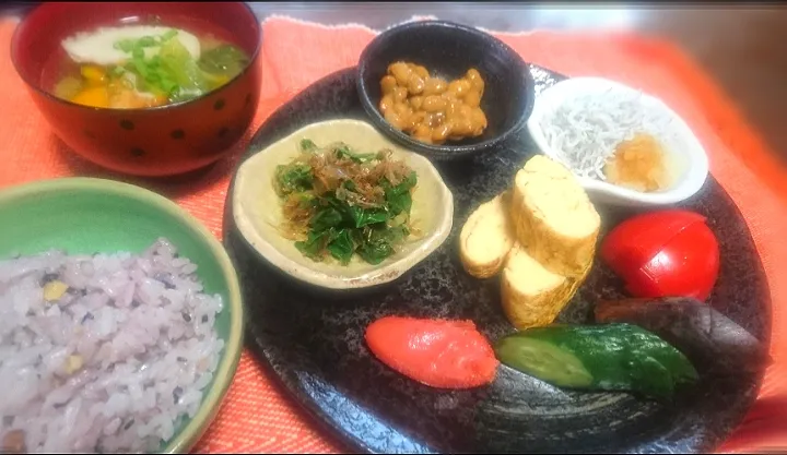 休日の朝定食🌧️|びせんさん