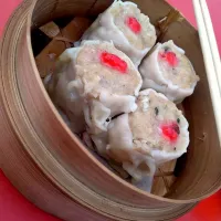 Snapdishの料理写真:dimsum|Khayla Zさん