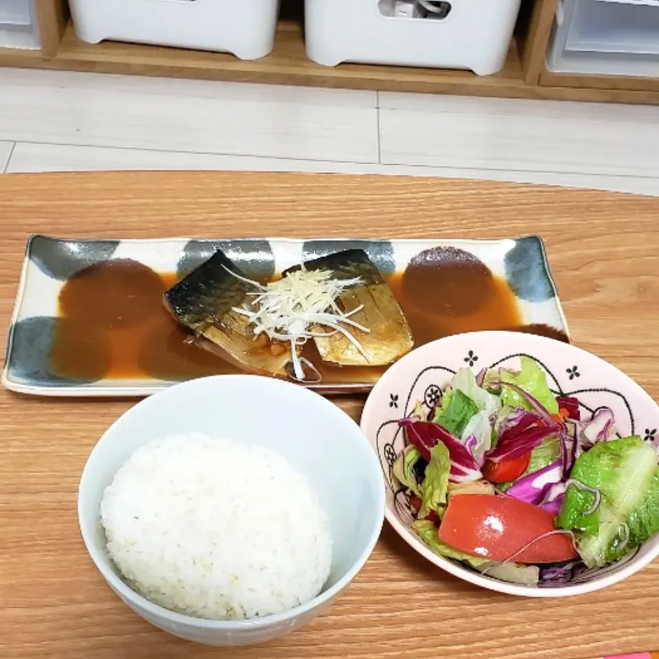 Snapdishの料理写真:サバの味噌煮|a.oさん