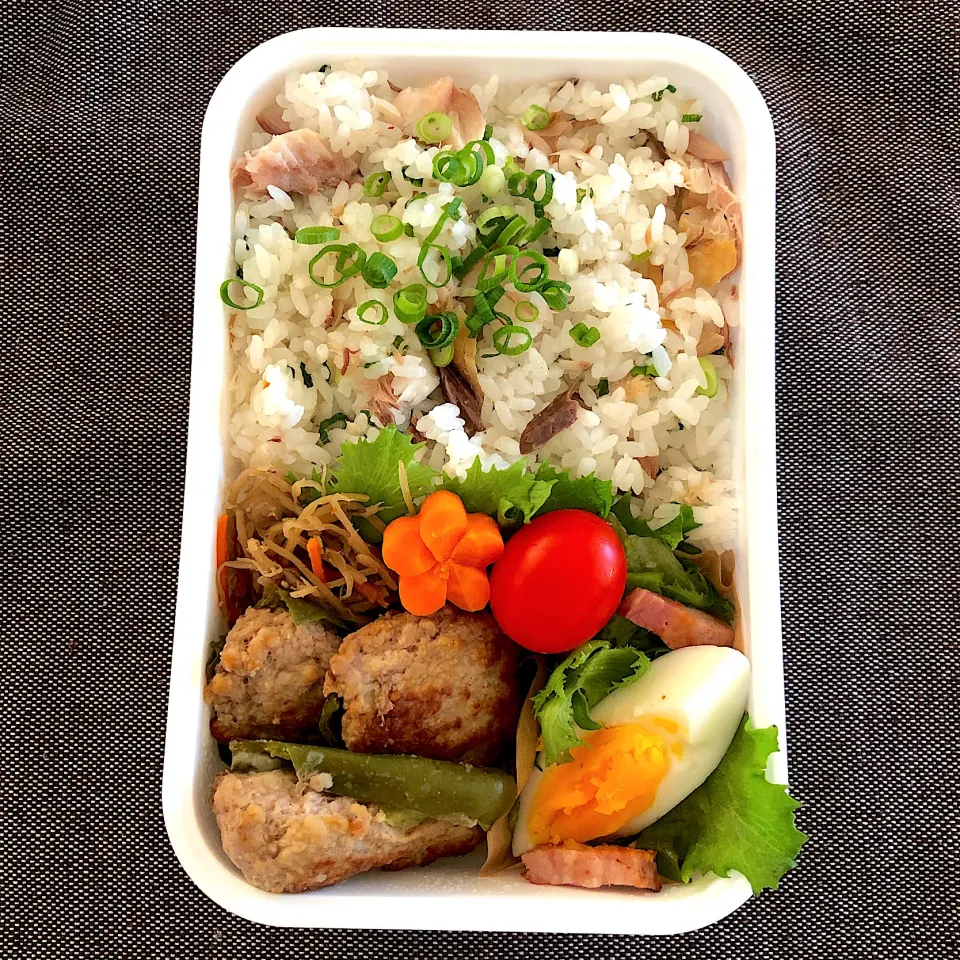 Snapdishの料理写真:鯵と小ネギの混ぜご飯弁当|emichococo625さん