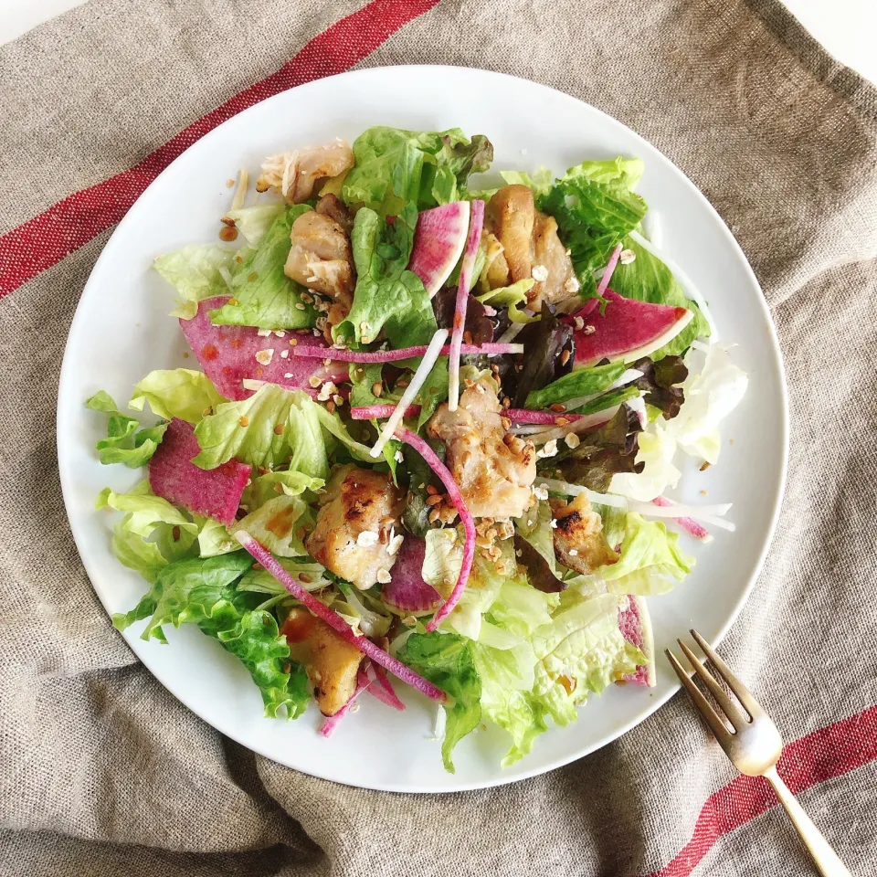 チキンと紅芯大根のサラダ🥗🐥|sakiさん