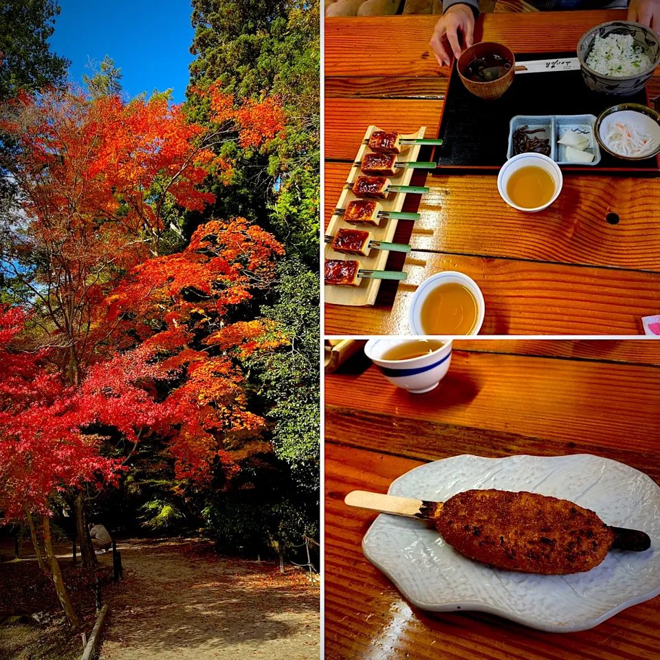 Snapdishの料理写真:菜飯と田楽御膳、五平餅、曽木公園の紅葉|yakinasuさん