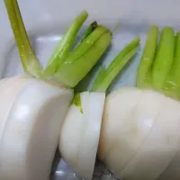 らでぃっしゅぼーや😊
蕪の浅漬け😊