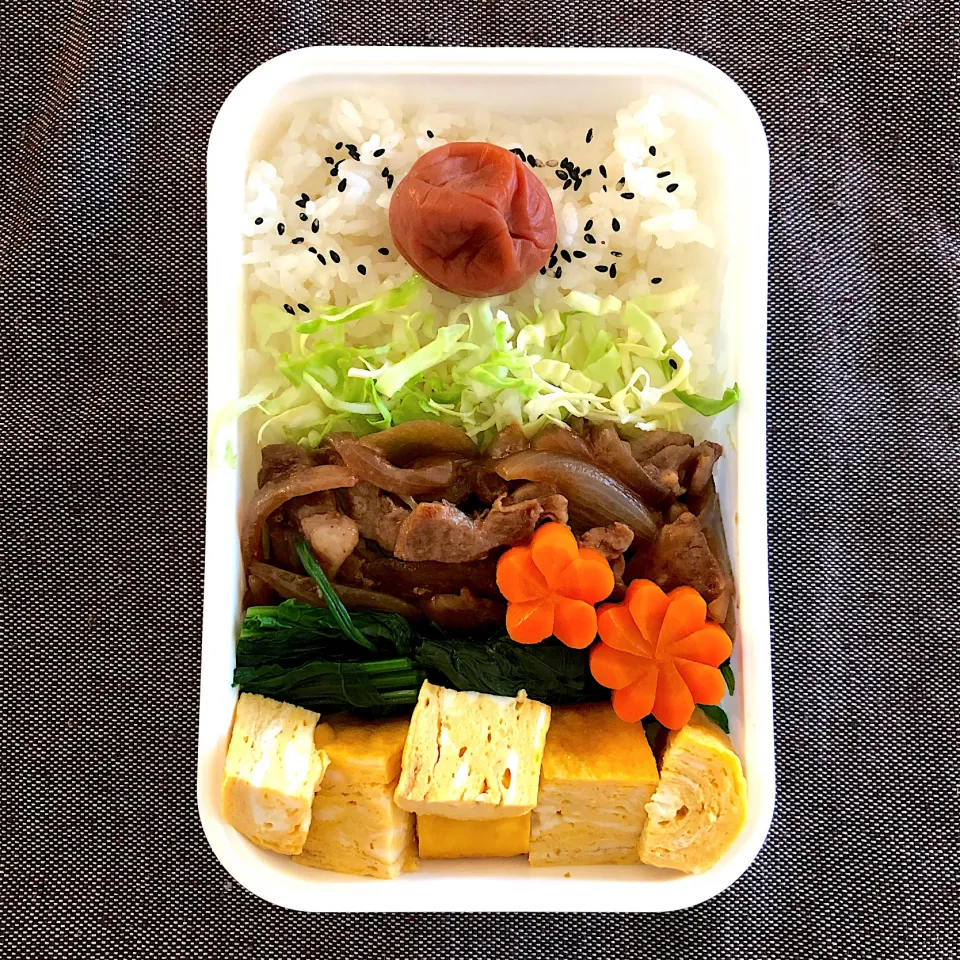 Snapdishの料理写真:豚丼弁当|emichococo625さん