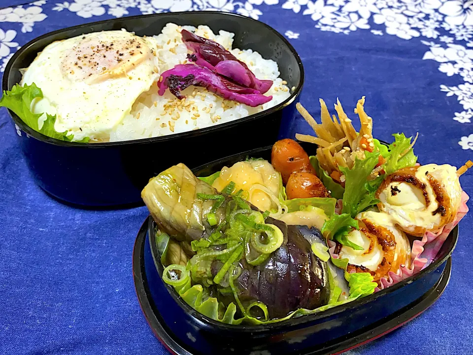 🌱鶏肉と茄子のおろしポン酢煮弁当|eiyadeさん