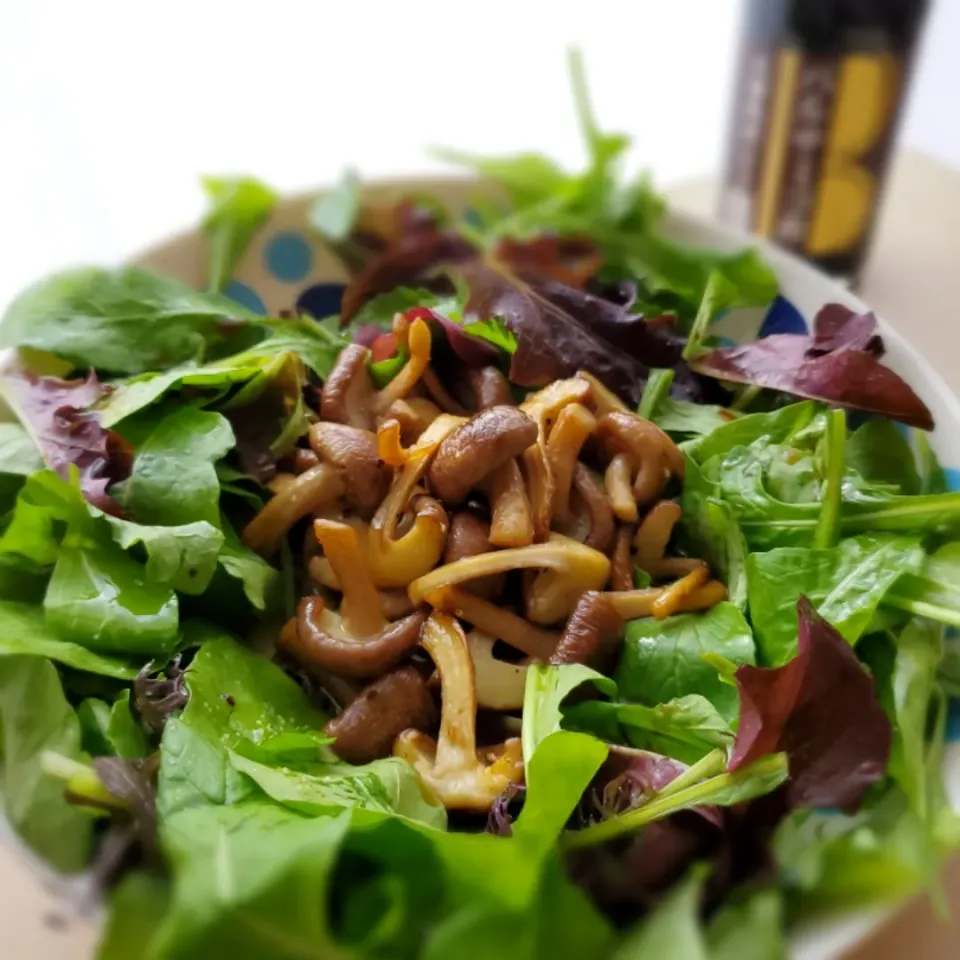 秋のサラダ🥗
「焼き椎茸とルッコラのサラダ」

有元葉子さんの「いま、この季節だけの わたしの楽しみ」Vol.10

サラダハンドが便利👀
欲しいな|みるくここあさん