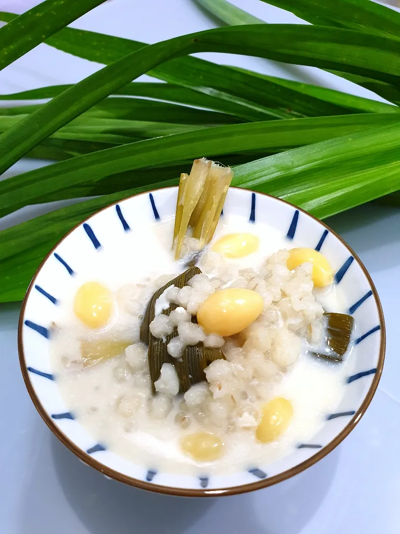 Dessert Barley Bean Curd w/ Ginkgo|envymaqueenさん