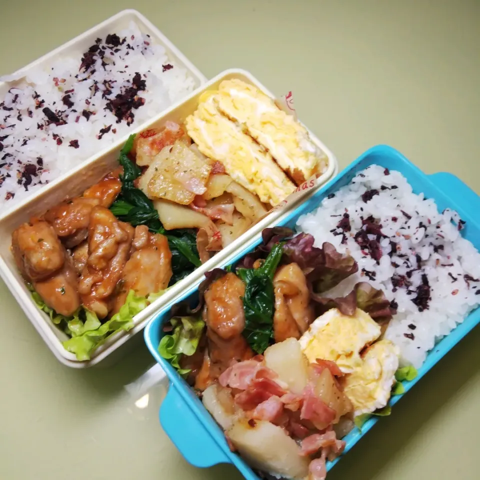 11/12 父娘弁当|けろよんさん