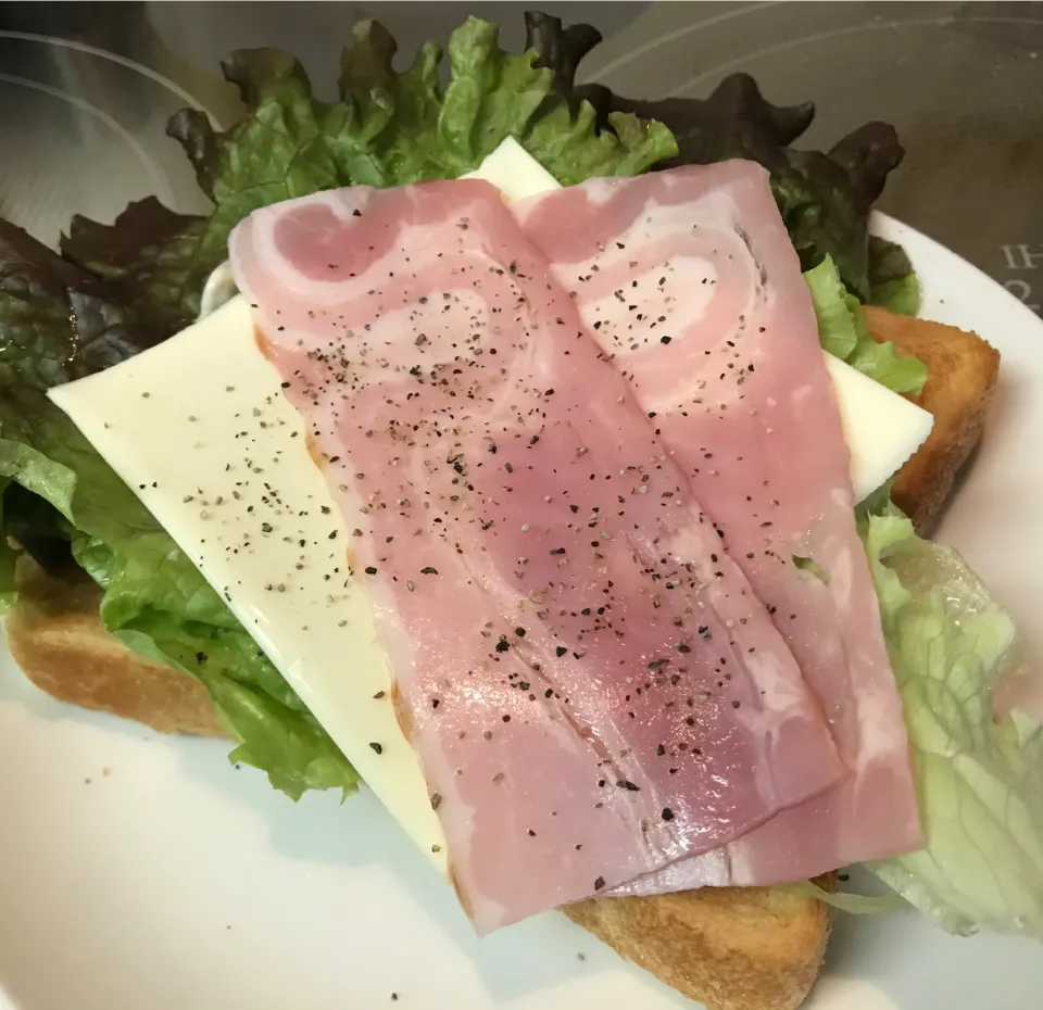 Snapdishの料理写真:オープンサンド|sanaeさん